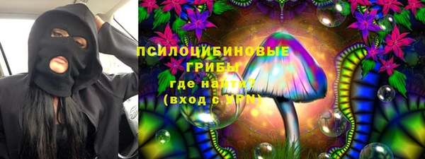 PSILOCYBIN Дмитровск