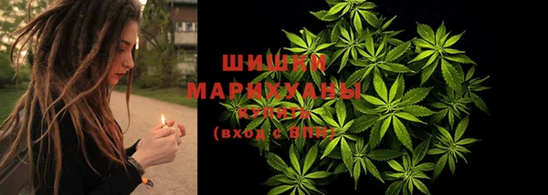 мяу мяу мука Гусев