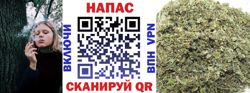 Марихуана план  гидра tor  Магнитогорск 